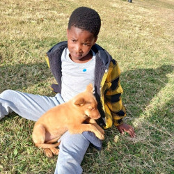 Thirteen new dog handlers sign up with Funda Nenja