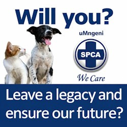 It's Wills Week & our SPCA has crucial information for everyone drafting a new Will