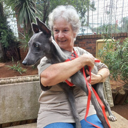 Retired with skills, a big heart and a little time? Join our uMngeni SPCA team