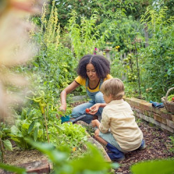 Let Nature In - Turn Your Garden into a Mini Ecosystem