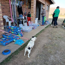 Funda Nenja Supports Healthy Pet Ownership Values 