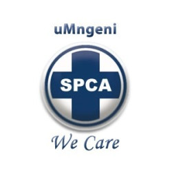 Puppies & Pilates - Mandela Day fundraiser for SPCA