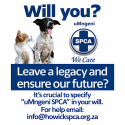Planning a will update during Wills Week? The little details count - uMngeni SPCA