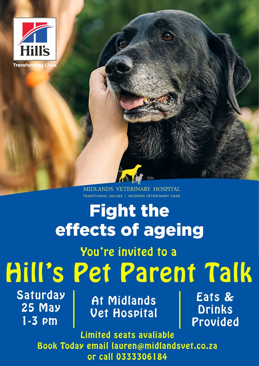 25 may hills pet talk