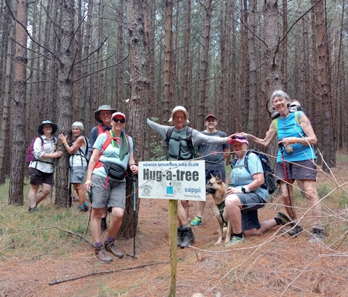 hug a tree with midlands hiking group