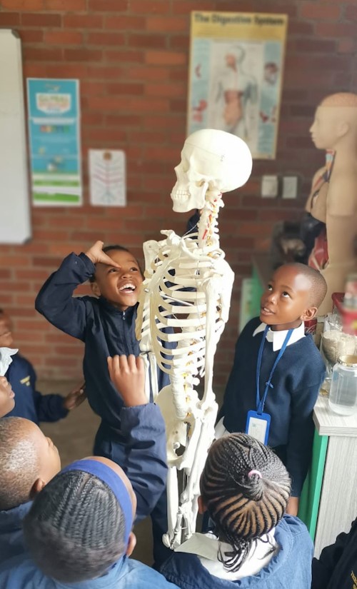 thembelihle gr 1 science 2