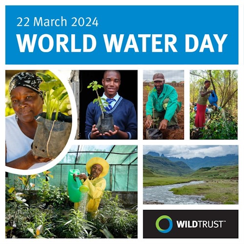 world water day