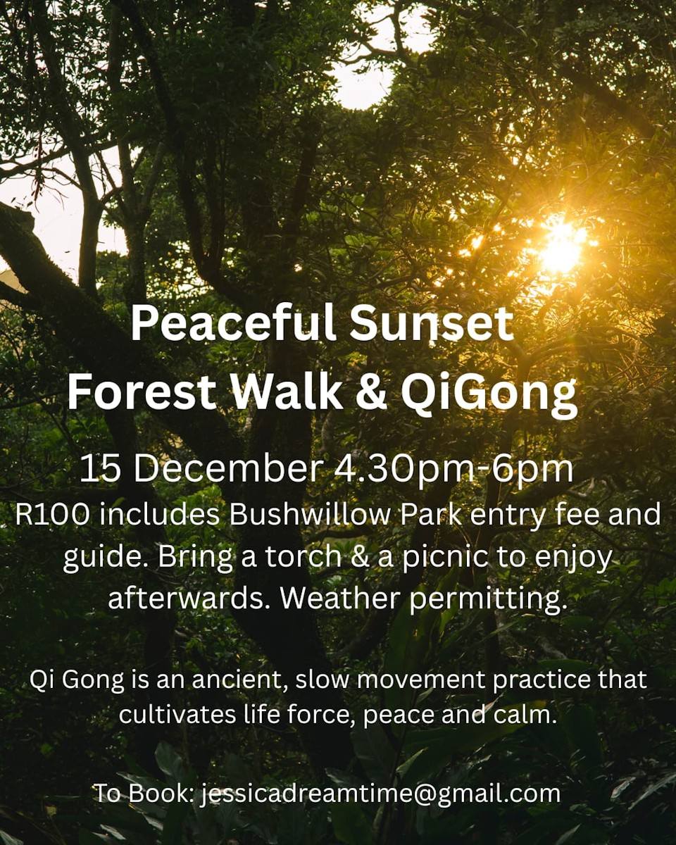 15 dec howick qi gong