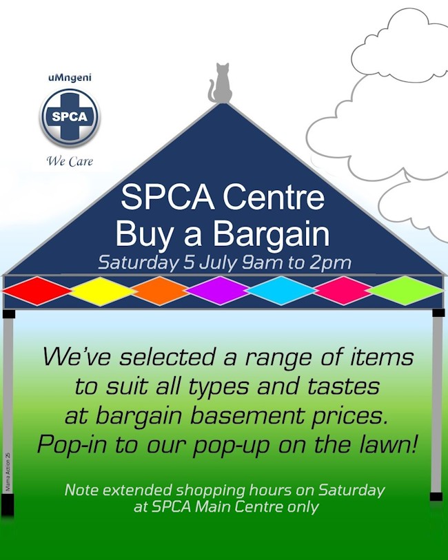 buy a bargain 5 july