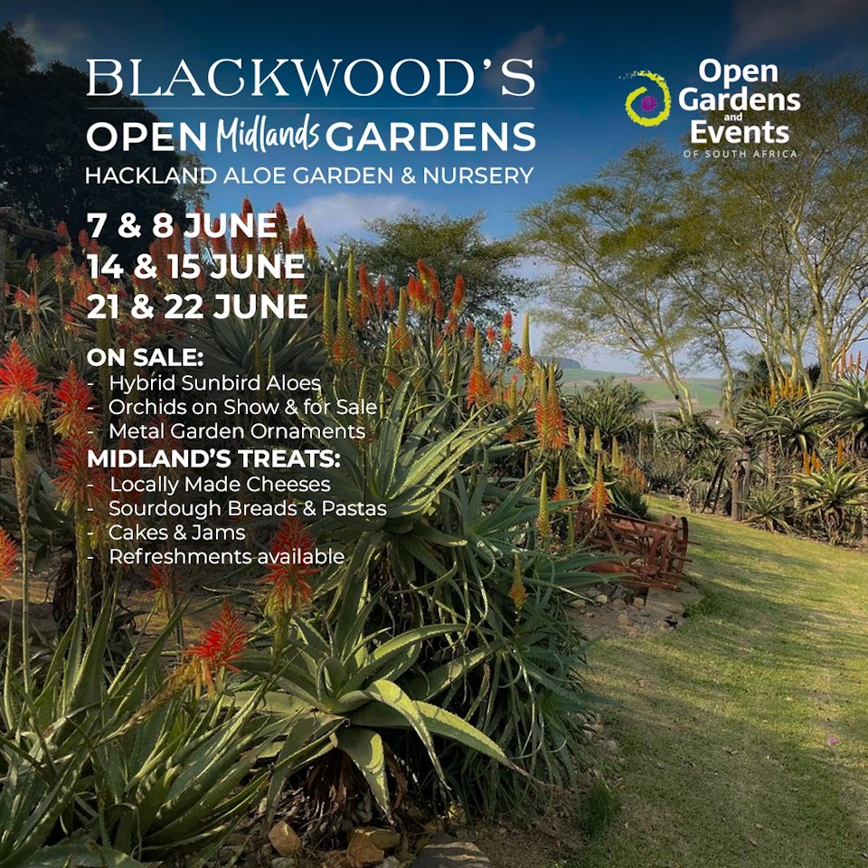 hackland open garden 2025