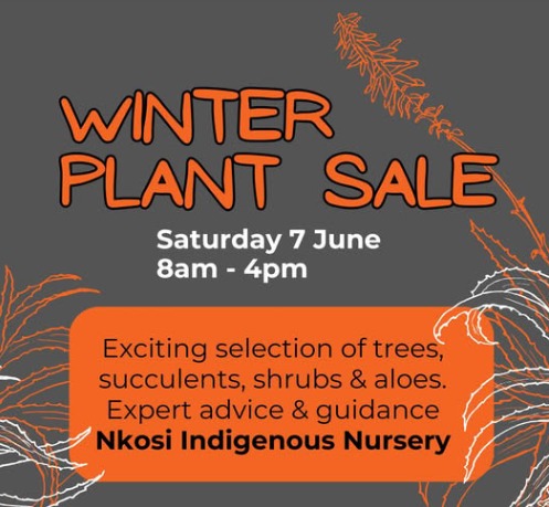 nkosi 7 june howick plant sale