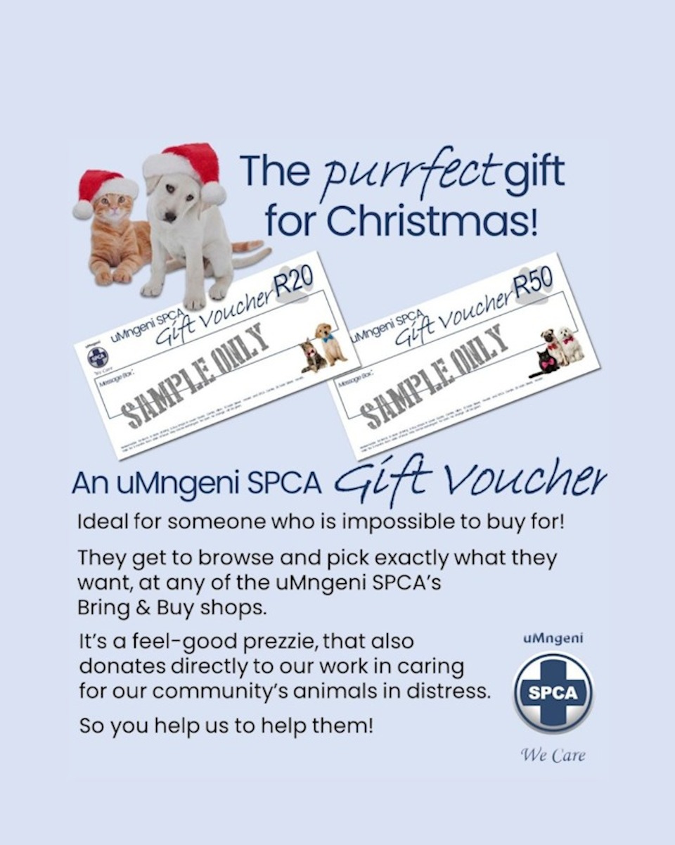 spca gift vouchers