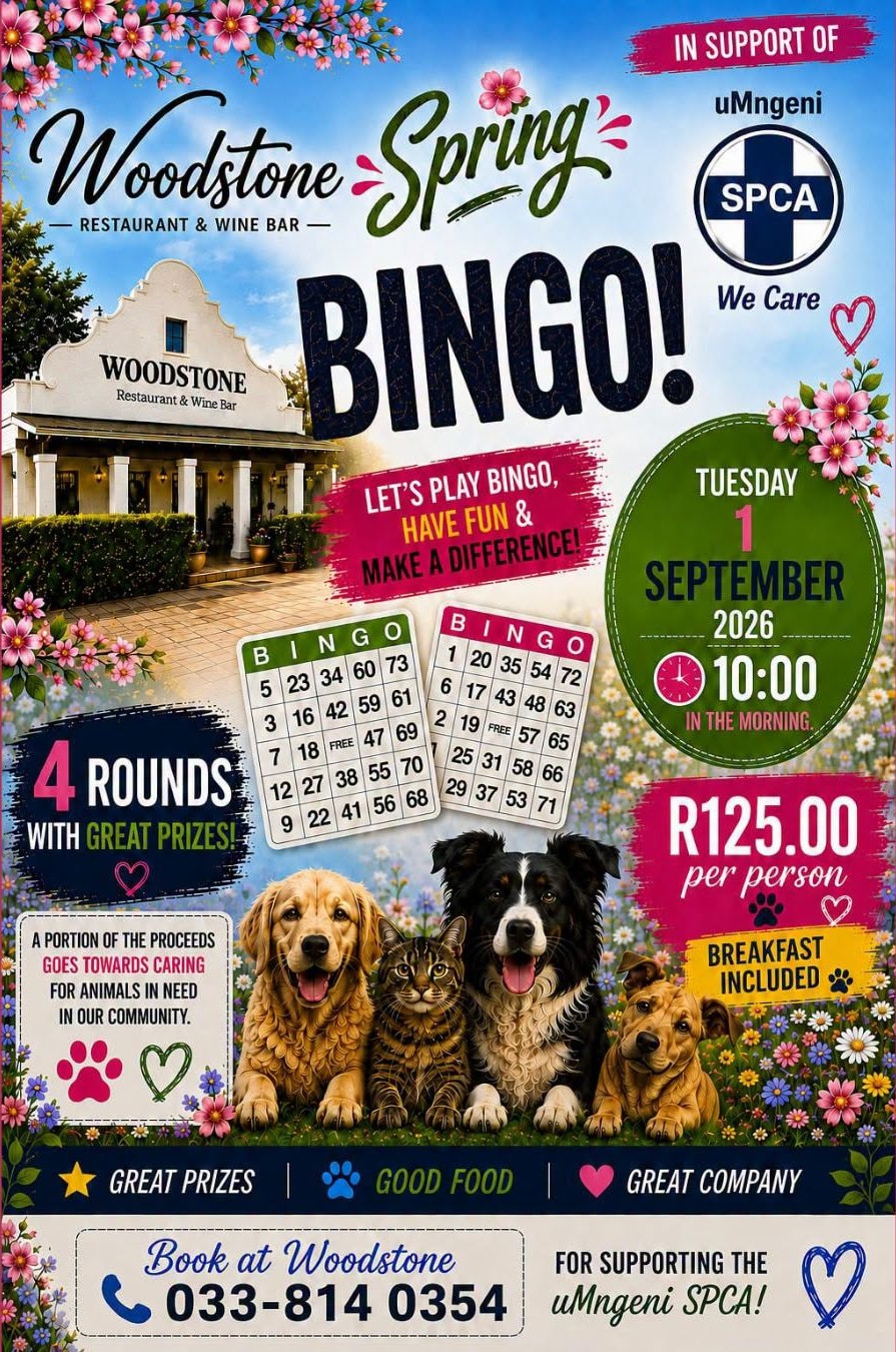 1 sept spca bingo