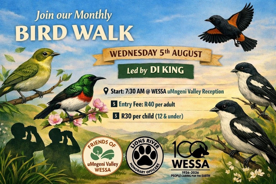 5 aug howick wessa bird walk