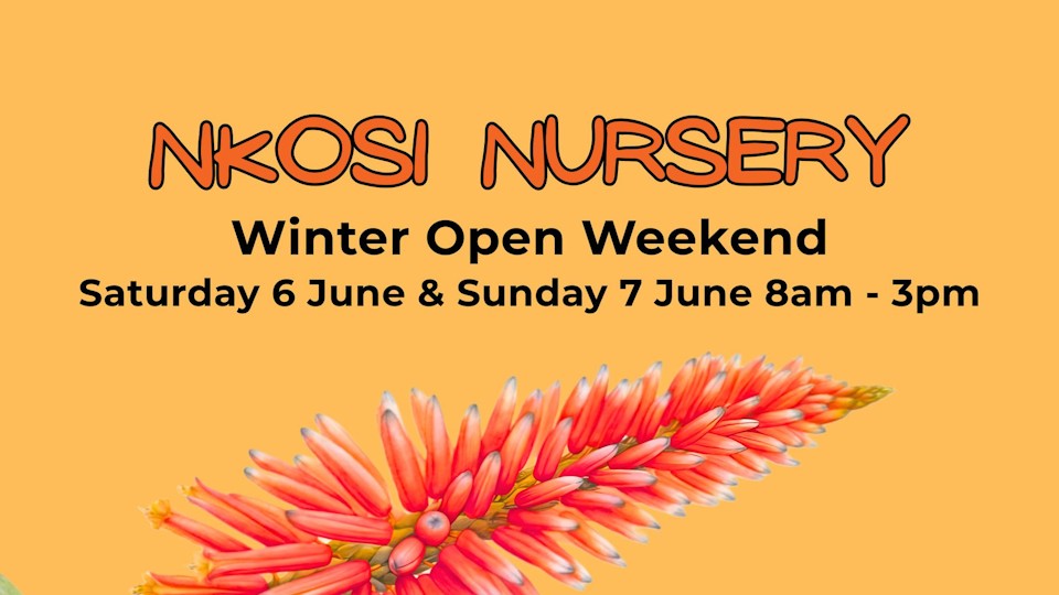 6 7 june nkosi open weekend