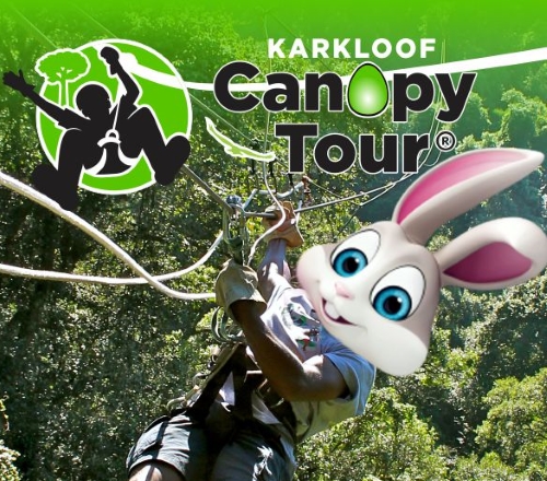 Easter Special 2018 karkloof canopy