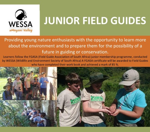 Junior Field Guides Poster July 2017 002