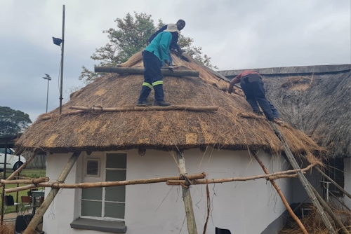 Thatch