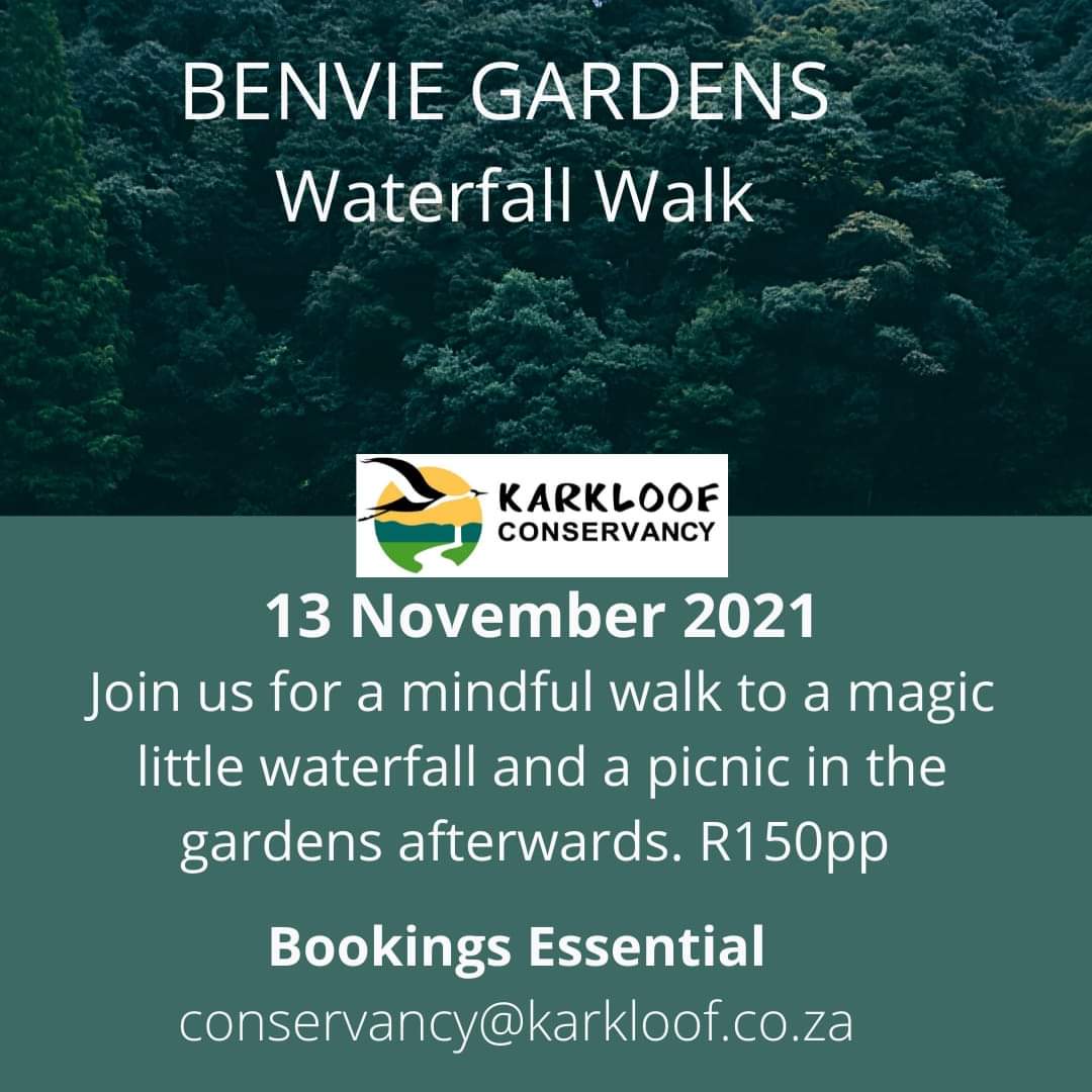 benvie waterfall walk