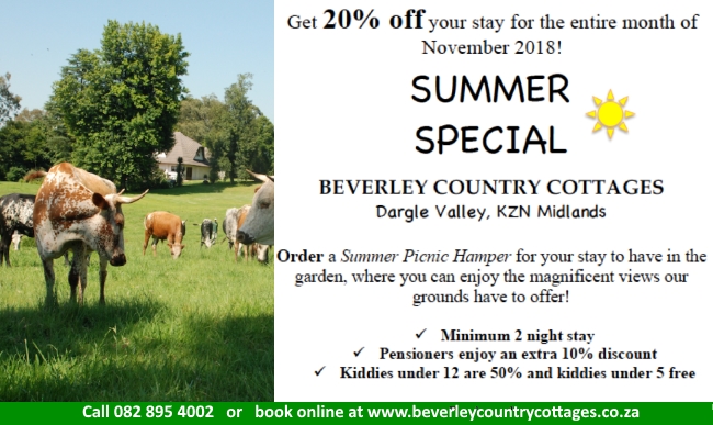 beverley summer