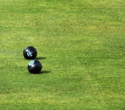 bowls