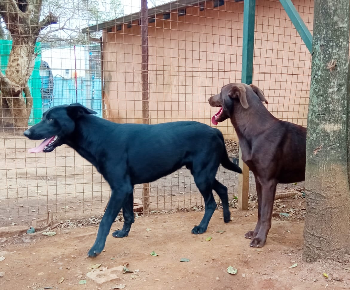 brothers