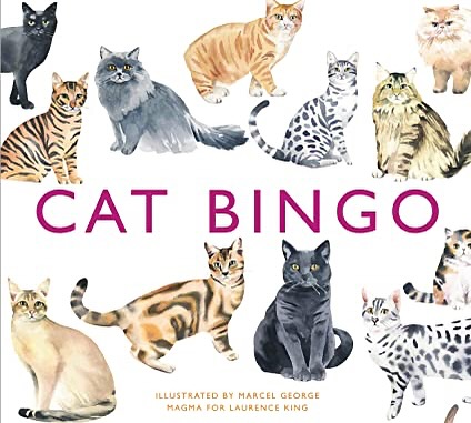 cat binga nabs