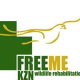 fre me logo copy