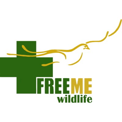 freeme new