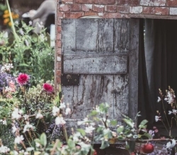 garden shed 002