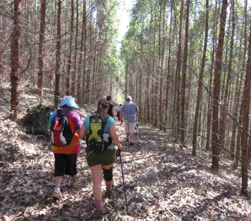 hike 500