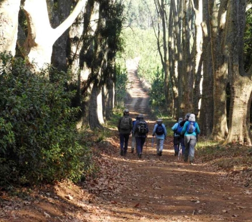 hiking group
