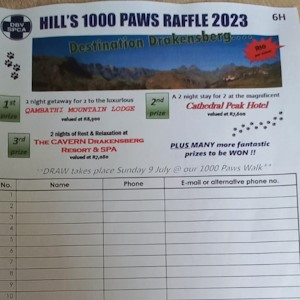 hills raffle