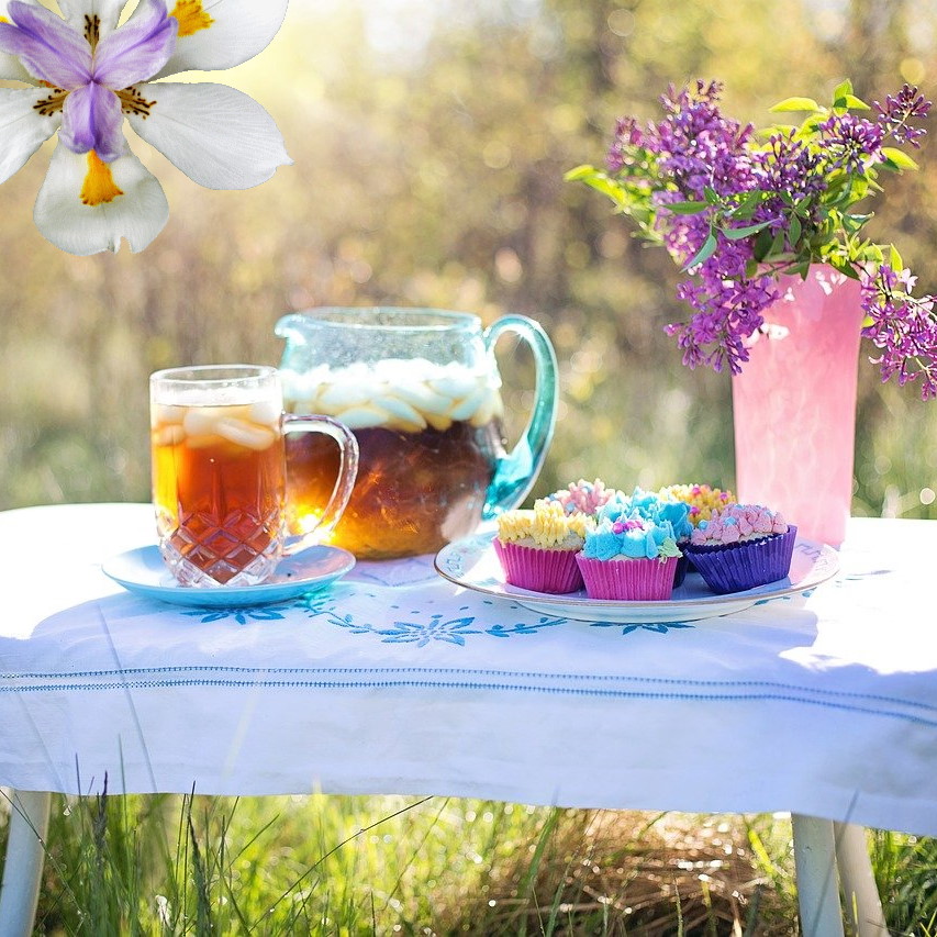 hot howick day newsletter social