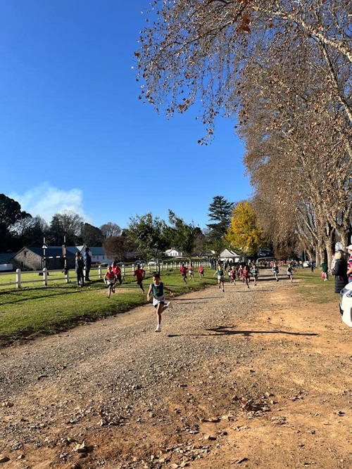 howick prep cross country
