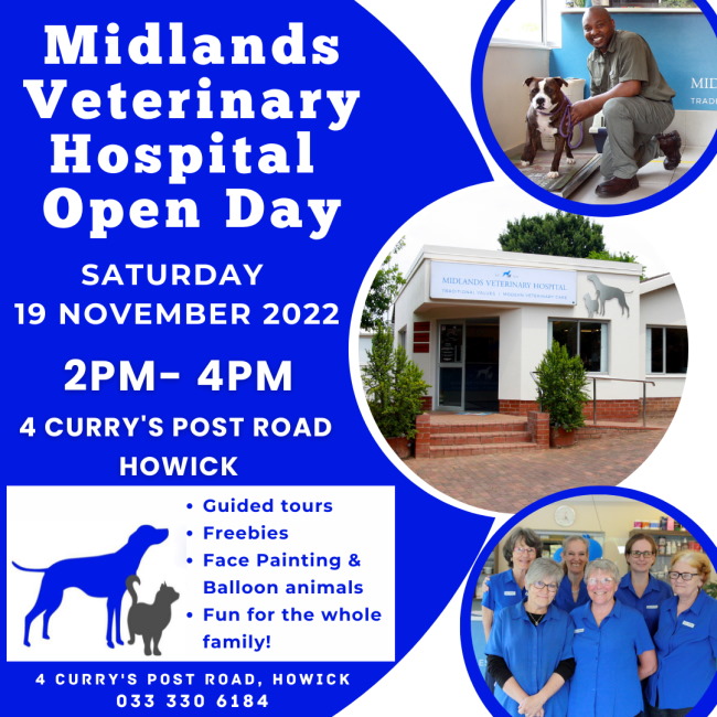 MVH Open Day newsletter 10 nov