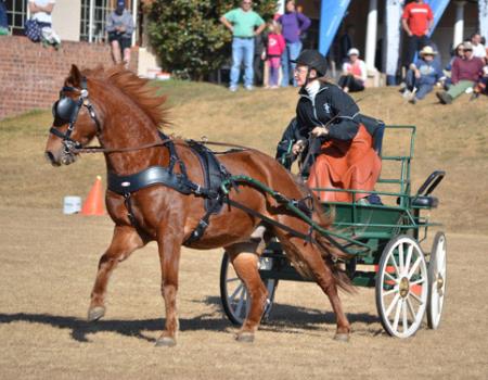 Carriage driving horizontal