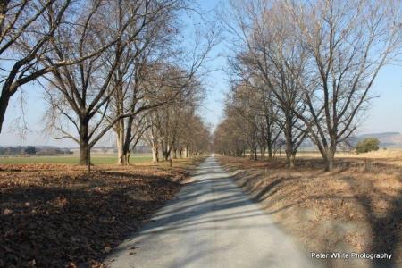 avenue