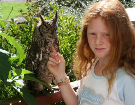 owl