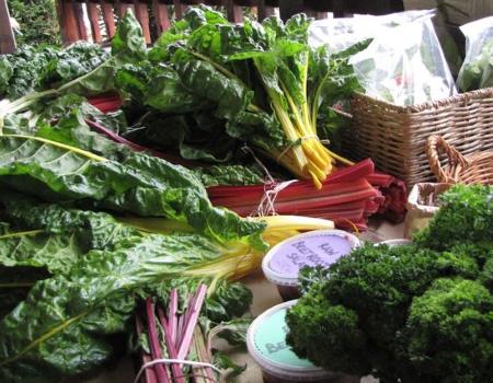 spring greens
