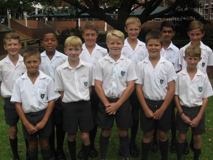 cricket pictures