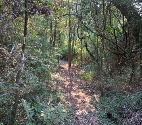 paths to love local