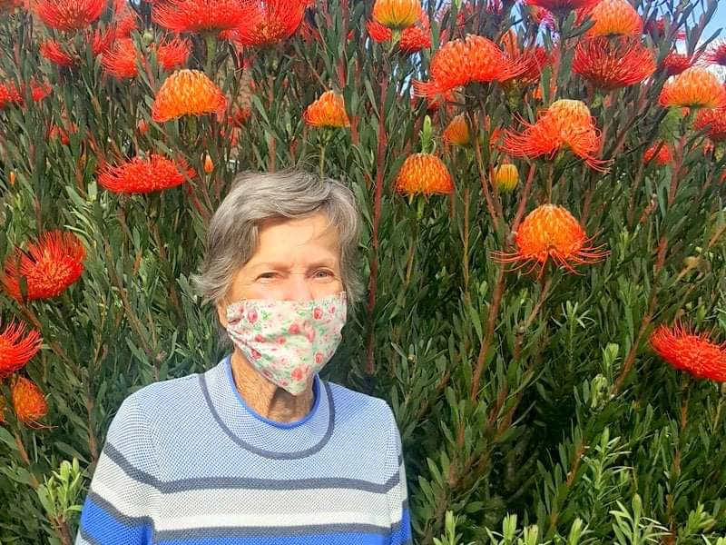 amber howick protea