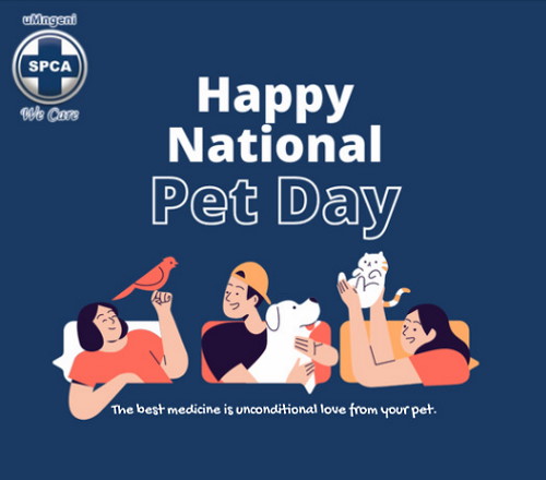 pet day umngeni spca