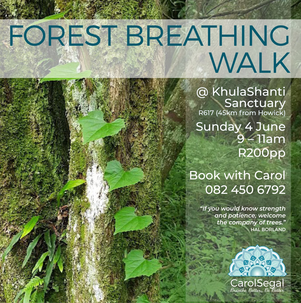 kulashanti forest walk