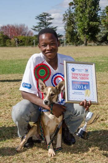 township dog show copy copy