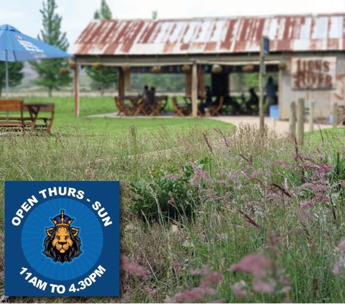 lions river news jan 2020