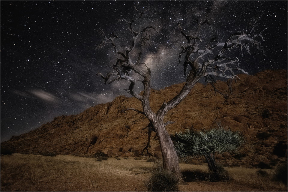 Under a Starry Sky feb 2022