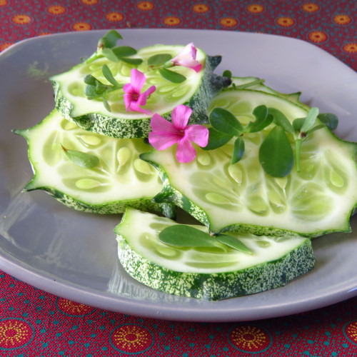 african horned cucumber