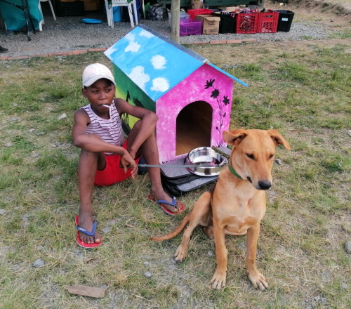 funda nenja kennel winner 2
